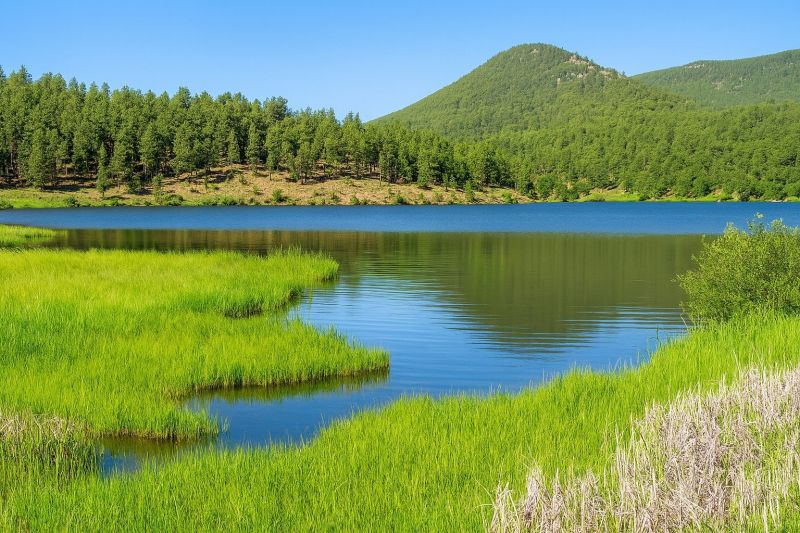 Best Bathroom Remodeling pros in Evergreen, CO